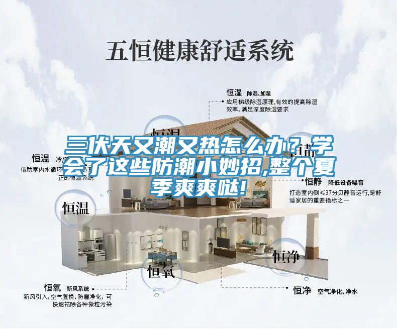 三伏天又潮又熱怎麽辦？學會了這些防潮小妙招,整個夏季爽爽噠!