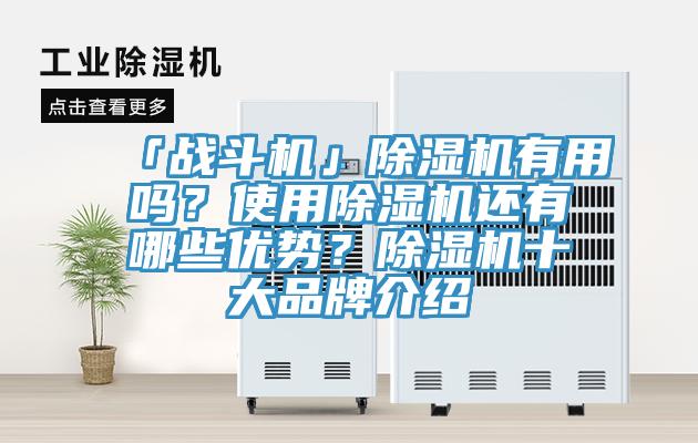 「戰鬥機」91看片网站有用嗎？使用91看片网站還有哪些優勢？91看片网站十大品牌介紹