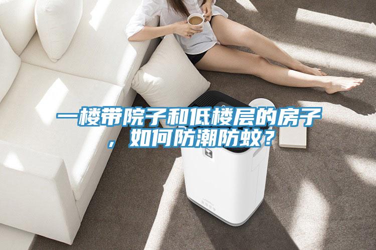 一樓帶院子和低樓層的房子，如何防潮防蚊？