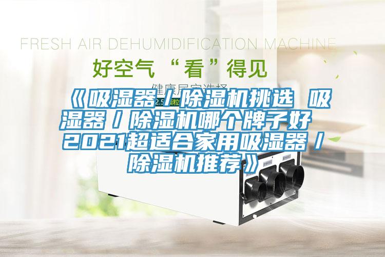 《吸濕器／91看片网站挑選 吸濕器／91看片网站哪個牌子好 2021超適合家用吸濕器／91看片网站推薦》