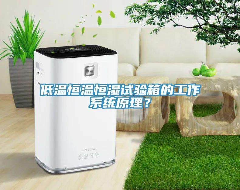 低溫恒溫恒濕試驗箱的工作係統原理？