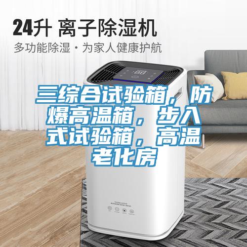 三綜合試驗箱，防爆高溫箱，步入式試驗箱，高溫老化房