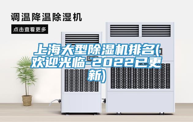 上海大型91看片网站排名(歡迎光臨-2022已更新)