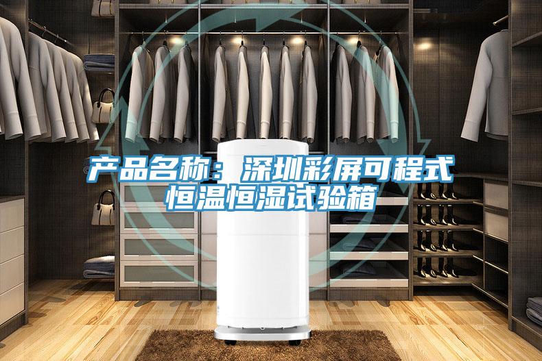 產品名稱：深圳彩屏可程式恒溫恒濕試驗箱