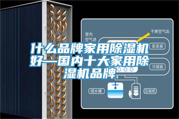 什麽品牌家用91看片网站好—國內十大家用91看片网站品牌
