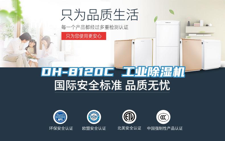 DH-8120C 工業91看片网站
