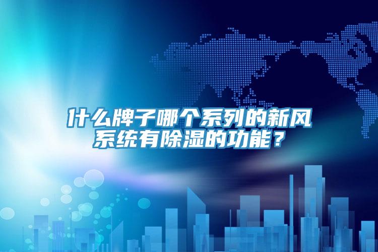 什麽牌子哪個係列的新風係統有除濕的功能？