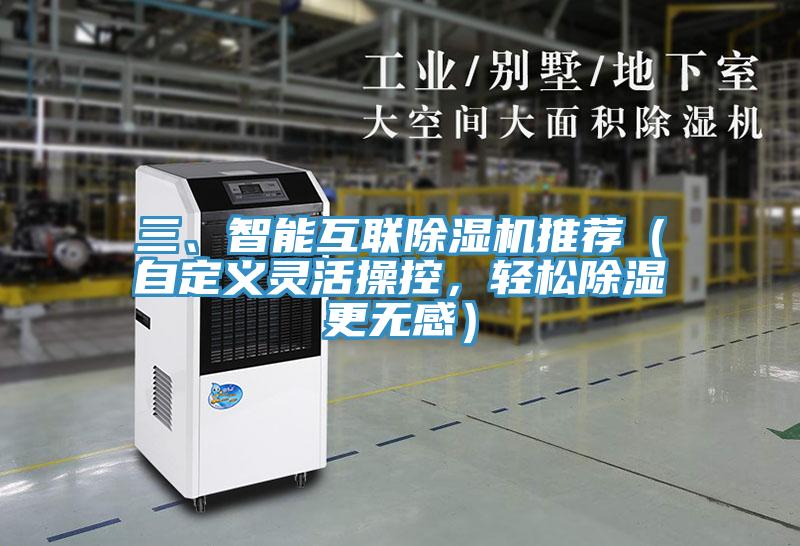 三、智能互聯91看片网站推薦（自定義靈活操控，輕鬆除濕更無感）