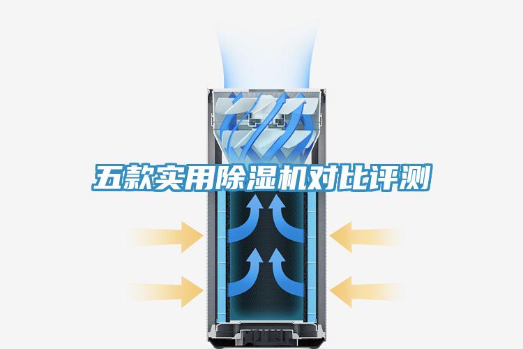 五款實用91看片网站對比評測