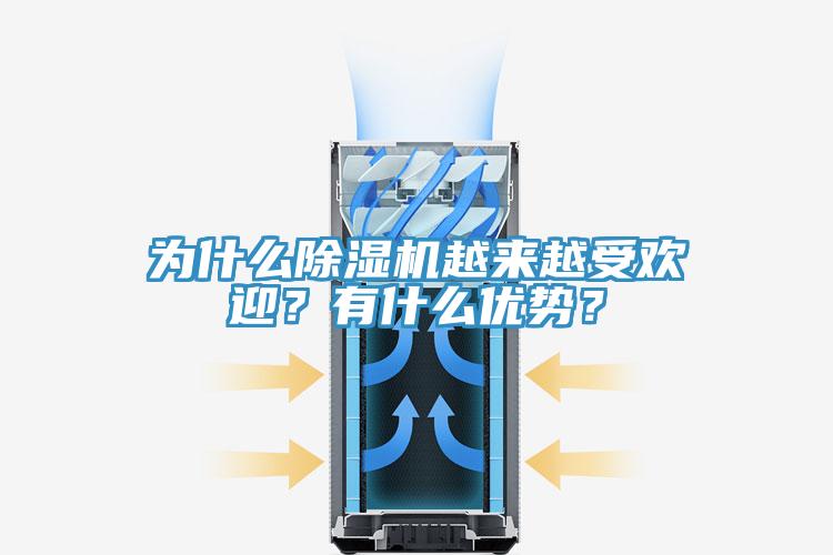 為什麽91看片网站越來越受歡迎？有什麽優勢？