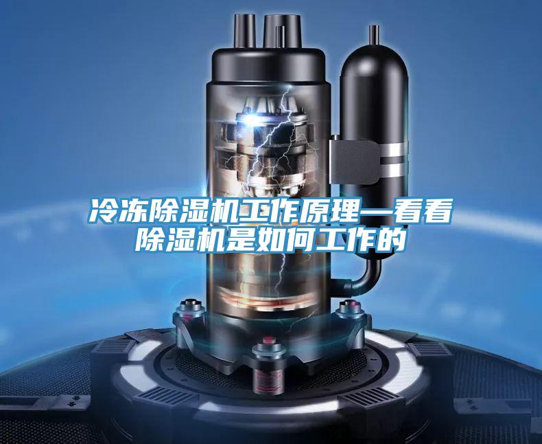 冷凍91看片网站工作原理—看看91看片网站是如何工作的