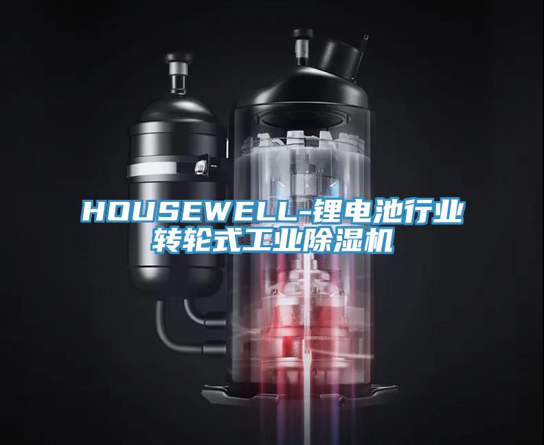 HOUSEWELL-鋰電池行業轉輪式工業91看片网站