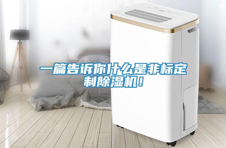 一篇告訴你什麽是非標定製91看片网站！