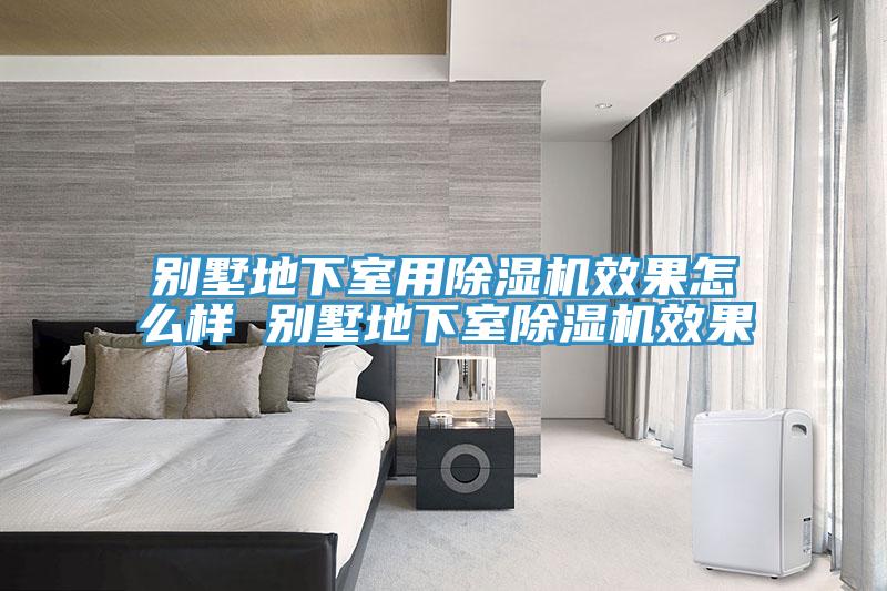 別墅地下室用91看片网站效果怎麽樣 別墅地下室91看片网站效果