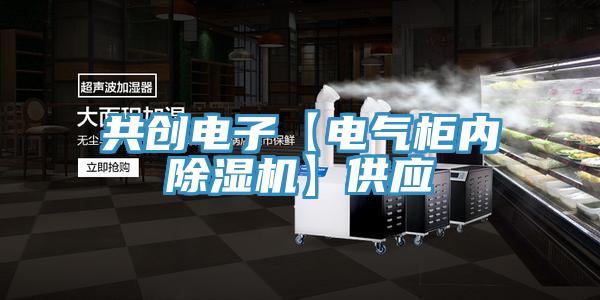 共創電子【電氣櫃內91看片网站】供應
