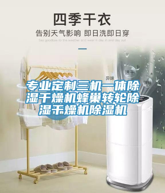 專業定製三機一體除濕幹燥機蜂巢轉輪除濕幹燥機91看片网站