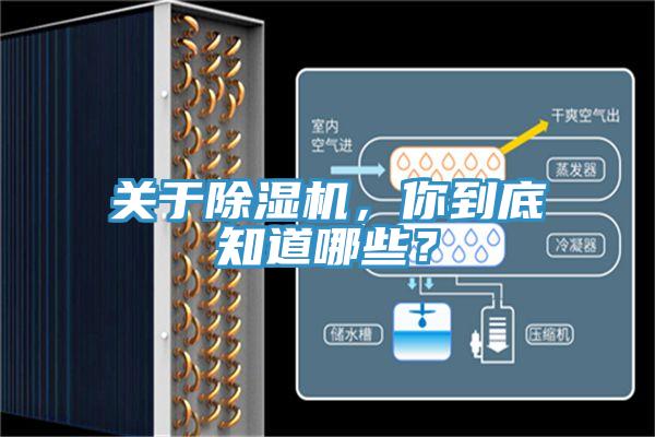 關於91看片网站，你到底知道哪些？