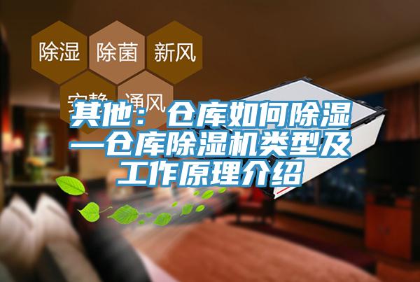 其他：倉庫如何除濕—倉庫91看片网站類型及工作原理介紹
