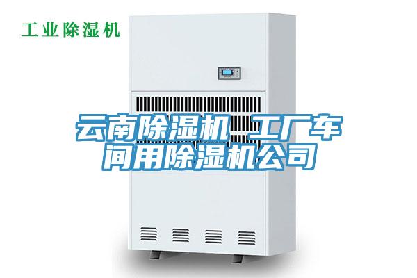 雲南91看片网站 工廠車間用91看片网站公司