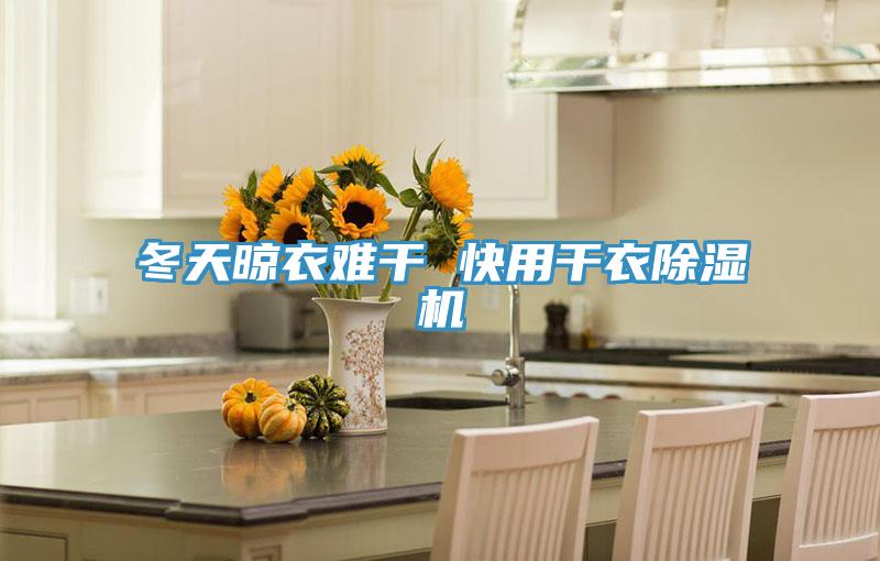 冬天晾衣難幹 快用幹衣91看片网站