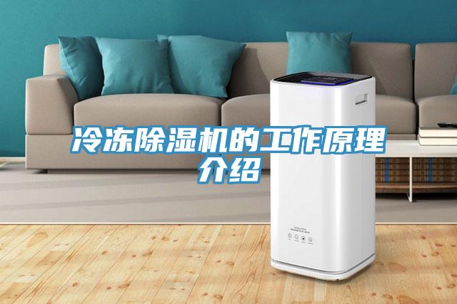 冷凍91看片网站的工作原理介紹