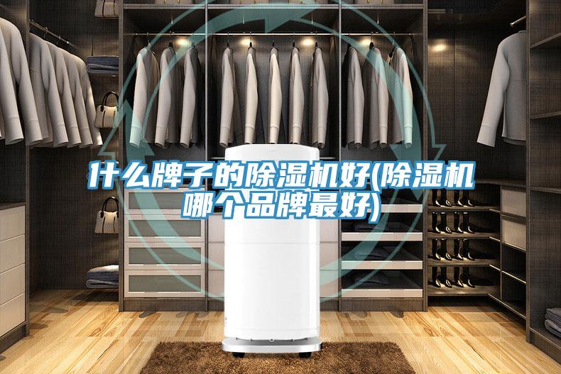什麽牌子的91看片网站好(91看片网站哪個品牌最好)