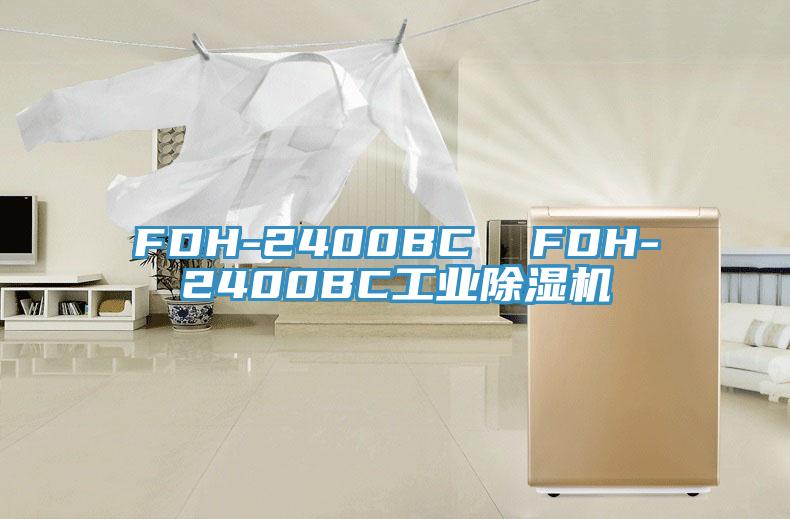 FDH-2400BC  FDH-2400BC工業91看片网站