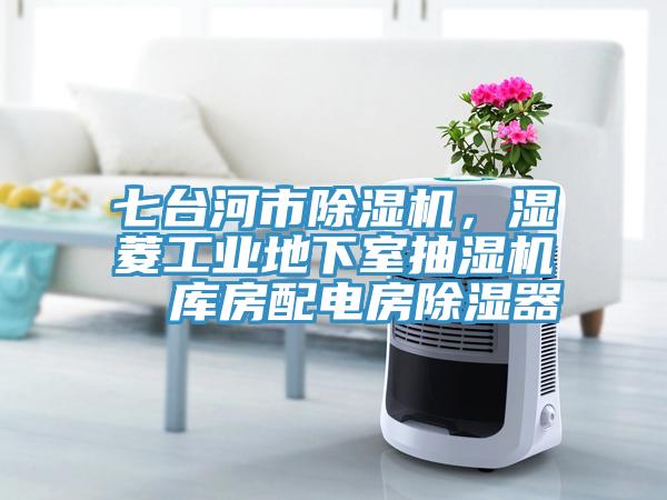 七台河市91看片网站，濕菱工業地下室抽濕機  庫房配電房除濕器