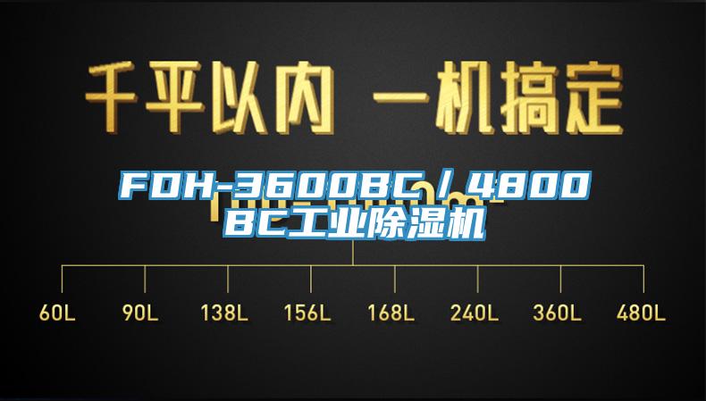 FDH-3600BC／4800BC工業91看片网站