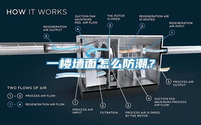 一樓牆麵怎麽防潮？
