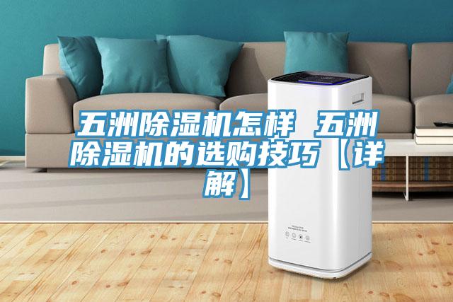 五洲91看片网站怎樣 五洲91看片网站的選購技巧【詳解】