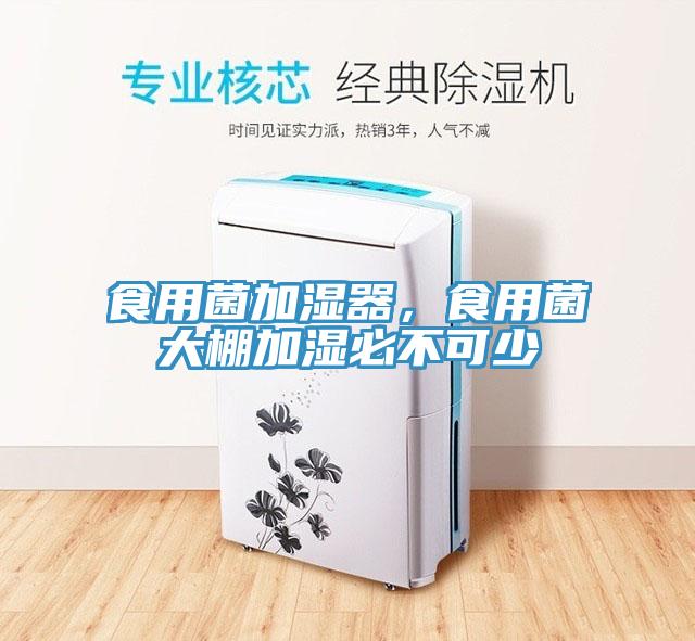 食用菌加濕器，食用菌大棚加濕必不可少