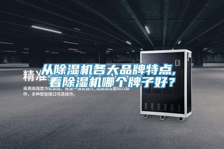 從91看片网站各大品牌特點, 看91看片网站哪個牌子好？