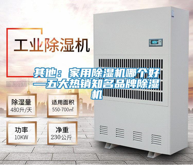 其他：家用91看片网站哪個好—五大熱銷知名品牌91看片网站