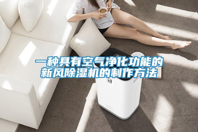 一種具有空氣淨化功能的新風91看片网站的製作方法
