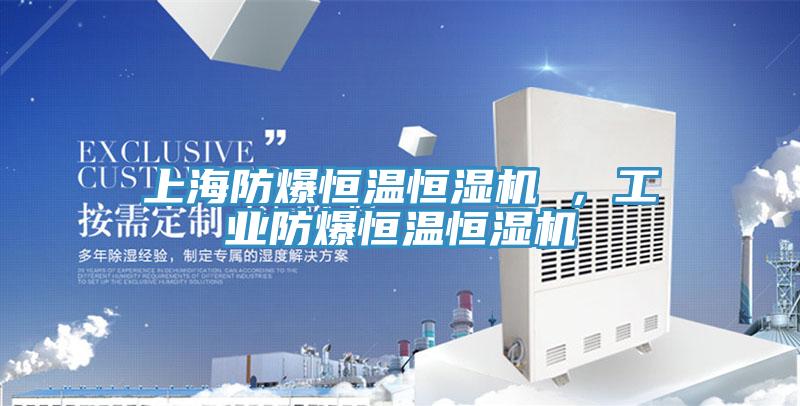 上海防爆恒溫恒濕機 ，工業防爆恒溫恒濕機