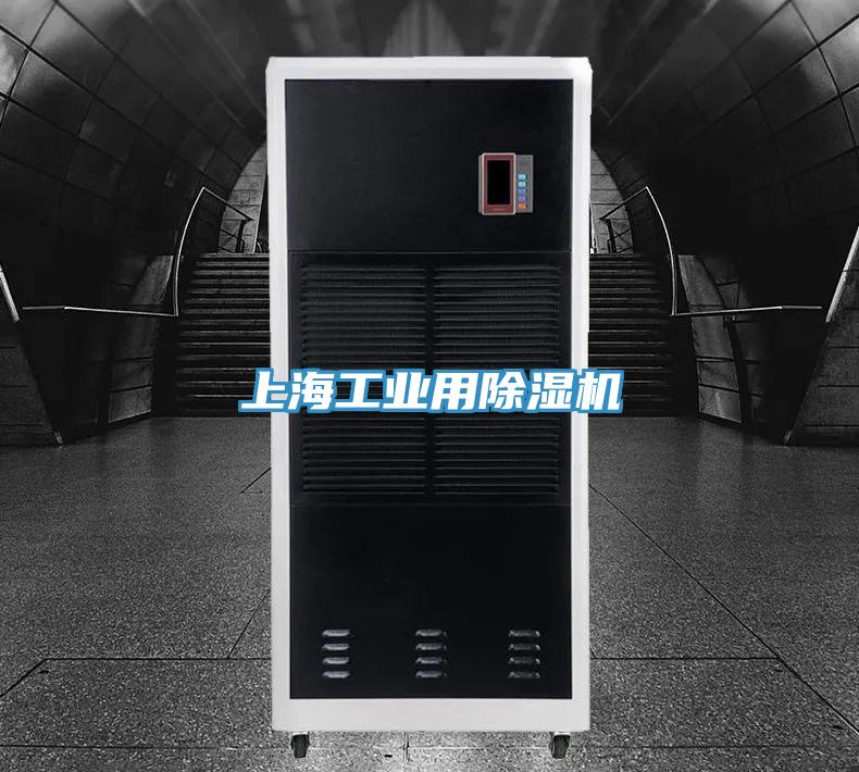 上海工業用91看片网站