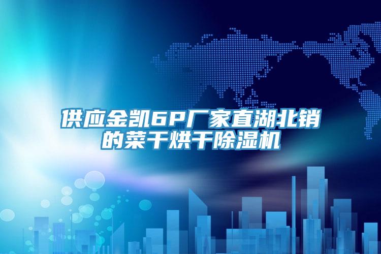 供應金凱6P廠家直湖北銷的菜幹烘幹91看片网站