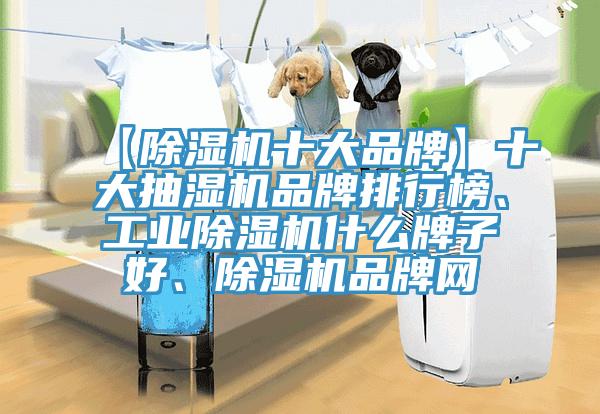 【91看片网站十大品牌】十大抽濕機品牌排行榜、工業91看片网站什麽牌子好、91看片网站品牌網