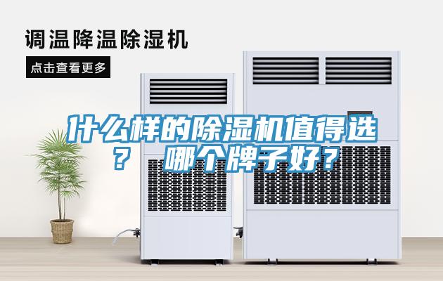 什麽樣的91看片网站值得選？ 哪個牌子好？