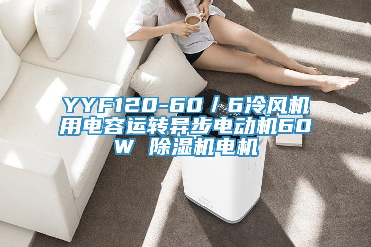 YYF120-60／6冷風機用電容運轉異步電動機60W 91看片网站電機