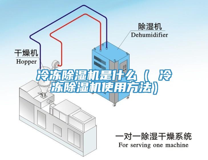 冷凍91看片网站是什麽（ 冷凍91看片网站使用方法）