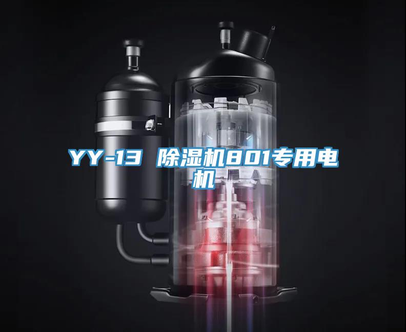 YY-13 91看片网站801專用電機