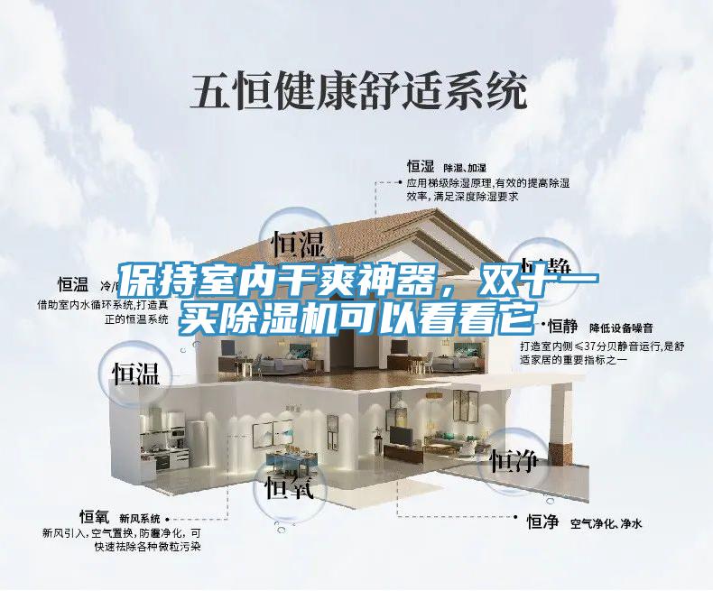 保持室內幹爽神器，雙十一買91看片网站可以看看它