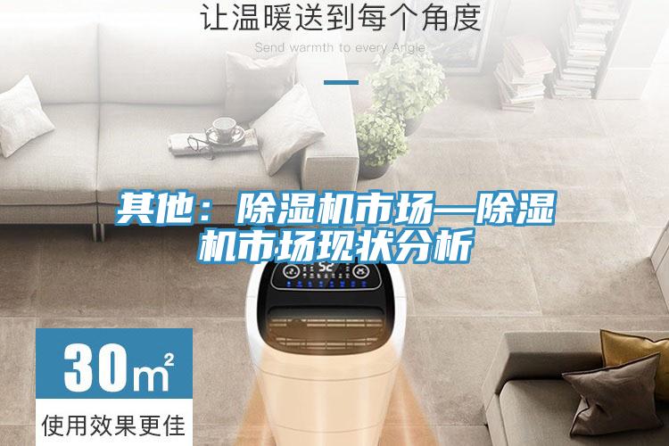 其他：91看片网站市場—91看片网站市場現狀分析