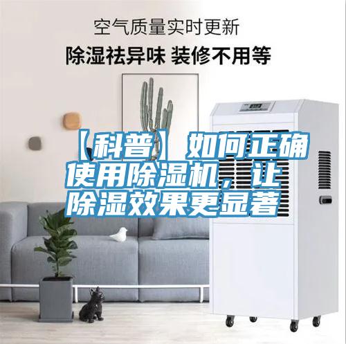 【科普】如何正確使用91看片网站，讓除濕效果更顯著