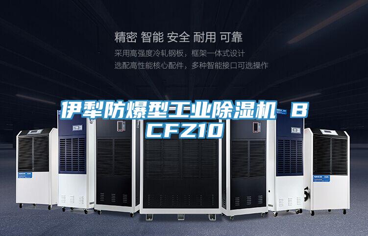 伊犁防爆型工業91看片网站 BCFZ10