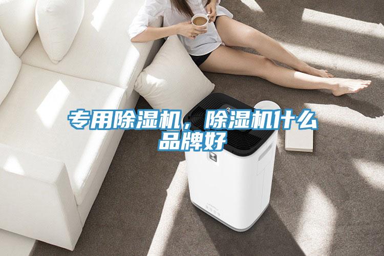 專用91看片网站，91看片网站什麽品牌好