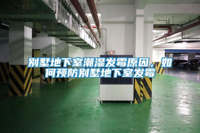 別墅地下室潮濕發黴原因，如何預防別墅地下室發黴