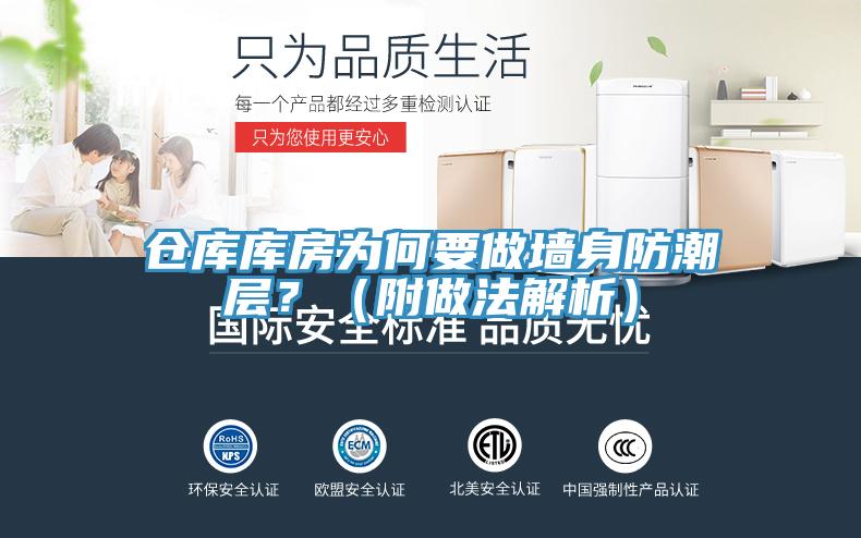 倉庫庫房為何要做牆身防潮層？（附做法解析）